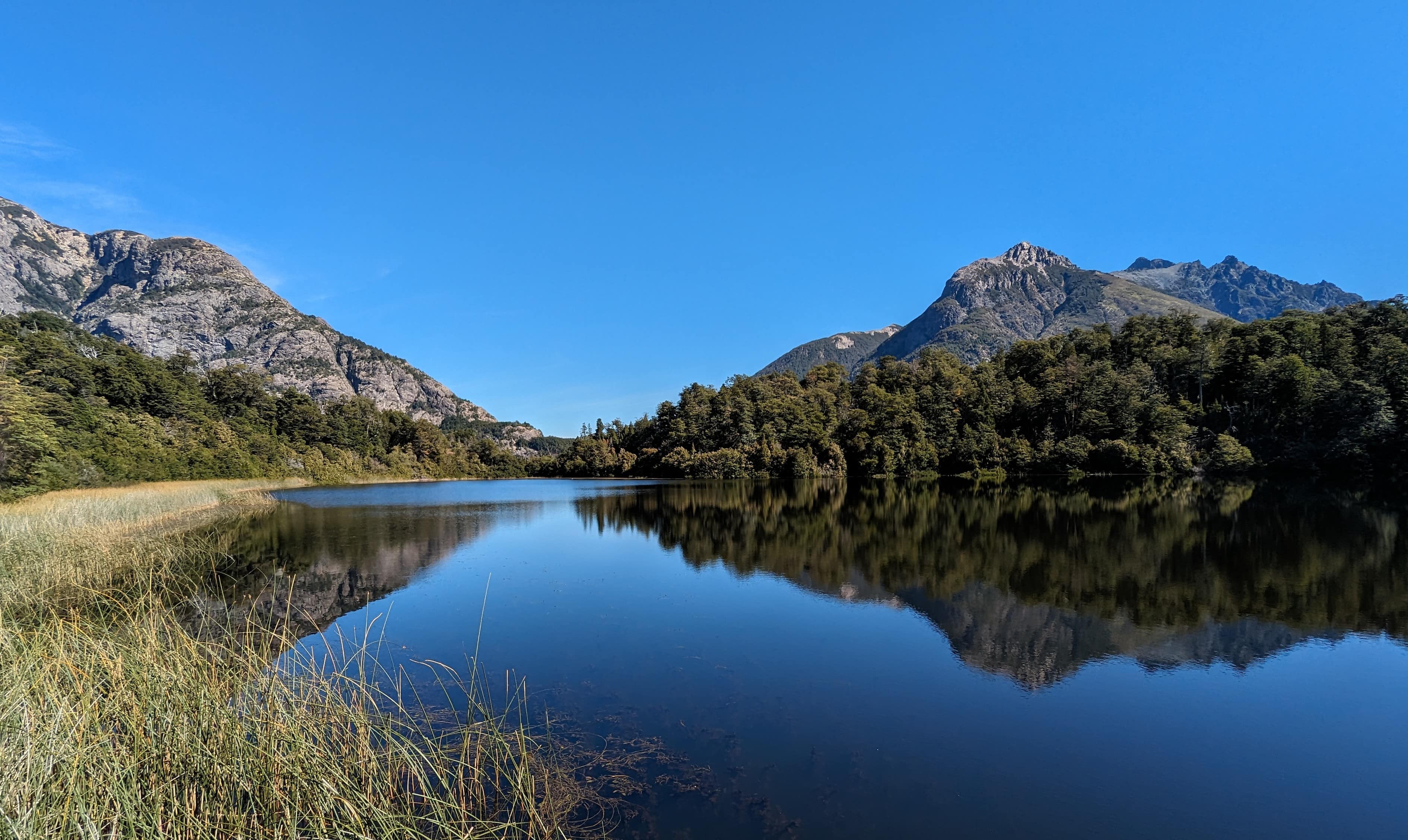 THE ANDEAN FOREST COLLECTION